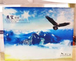 布拉网展架
